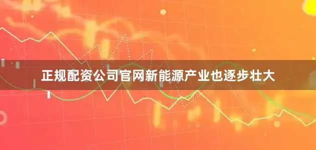 正规配资公司官网新能源产业也逐步壮大