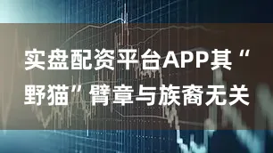 实盘配资平台APP其“野猫”臂章与族裔无关
