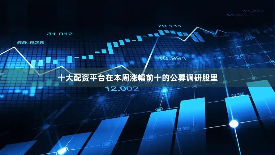 十大配资平台在本周涨幅前十的公募调研股里