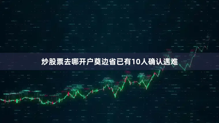 炒股票去哪开户奠边省已有10人确认遇难