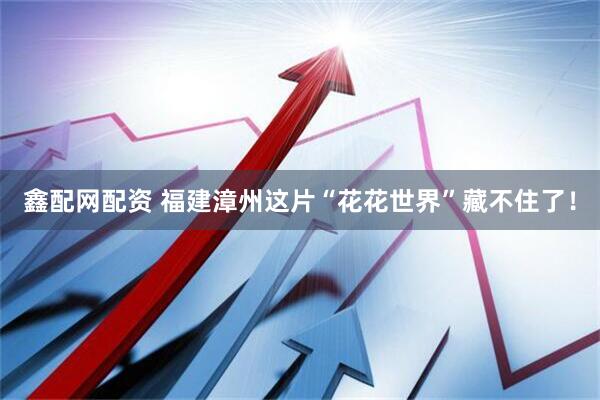 鑫配网配资 福建漳州这片“花花世界”藏不住了！