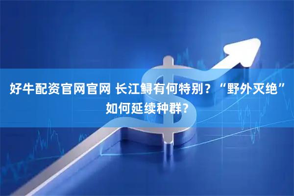 好牛配资官网官网 长江鲟有何特别？“野外灭绝”如何延续种群？